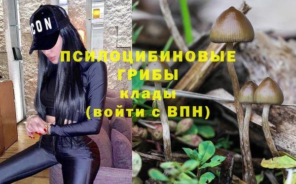 ПСИЛОЦИБИНОВЫЕ ГРИБЫ Балахна