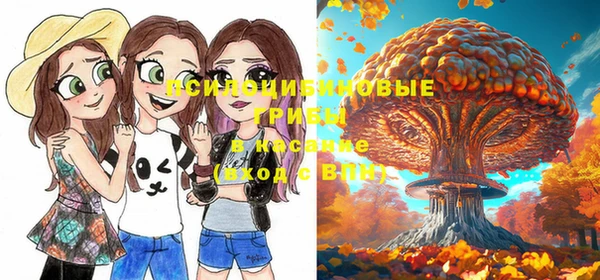 соль ск Балабаново