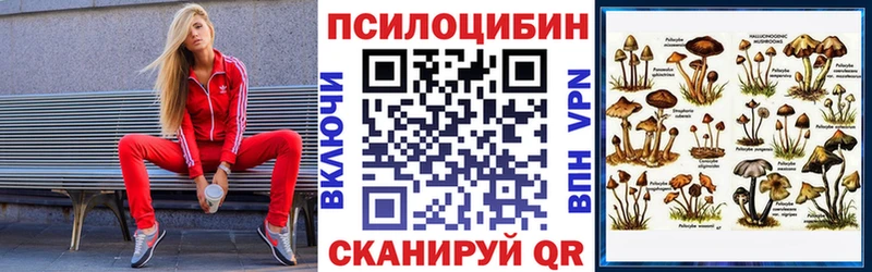 Псилоцибиновые грибы Magic Shrooms  Гаврилов-Ям 